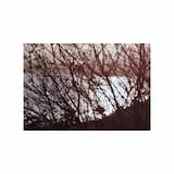 Life sprouting unconcernedly