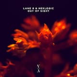 Out of Sight (extended mix)