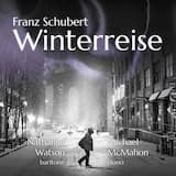 Winterreise: Die Nebensonnen