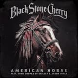 American Horse