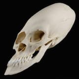 Stretch for the Stars (K‐Lone vocal mix)