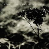 Constant Like the Northern Star