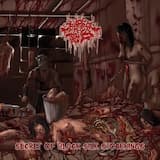 The Battle Of Matured Bodies