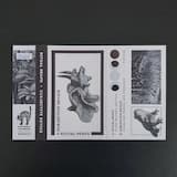 Forest Boundary Sacrifice