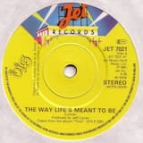 The Way Life’s Meant to Be