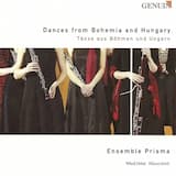 Contrafacta Hungarica: V. Andante espressivo