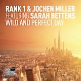 Wild and Perfect Day (extended mix)