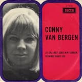 Jij zag niet eens mijn tranen