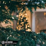 Last Christmas (acoustic)