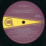 If You Should Ever Be Lonely (club mix)