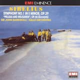 Symphony No. 1 in E minor, Op. 39: I. Andante ma non troppo - Allegro energico