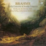 Violin Concerto in D major, op. 77: Allegro ma non troppo