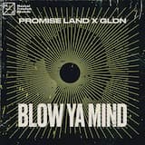 Blow Ya Mind (extended mix)
