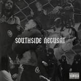 Southside Negusat