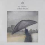 Girl Through Rainy Window