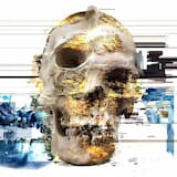 Psychedelia of the Glitch Skull