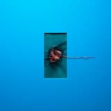 It’s Just a Feeling