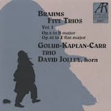 Trio in B Major for Violin, Cello And Piano, Op. 8: III. Adagio