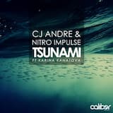 Tsunami (instrumental mix)