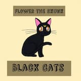 Black Cats