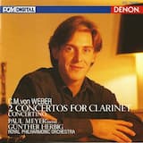 Concerto in F minor: I. Allegro