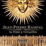 Concerto pour flûtes et cordes en ré majeur - 1. Allegro