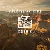 Seismic (Precise / Rigz)