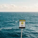 Floating with the sharks