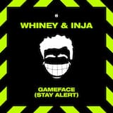 Gameface (Stay Alert)