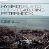 True to Form (original mix)