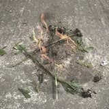 We Wander in the Night