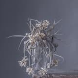 Too Old To Die Young