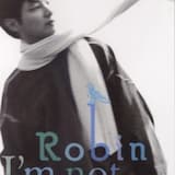 雪の朝、ロビンのように