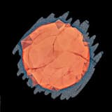 The Finest Of Things