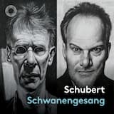 Schwanengesang, D 957: No. 1. Liebesbotschaft