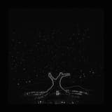 Plucked From the Pixie Ring