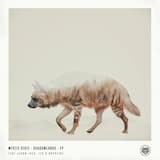 Shadowlands [Crypticz remix]