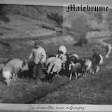 Mélancolie pastorale