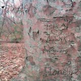 i'll be ur chase if u be my zoey