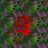 Boot_Sequence_System_Init