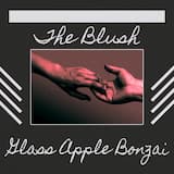 Disconnected From the Blush (Belasco house mix) [edit]