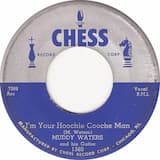 I’m Your Hoochie Cooche Man