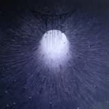 Dismal Aberrant Litany