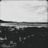 Lost but Not Forsaken