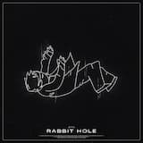 Rabbit Hole