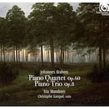 Piano Trio no. 1, op. 8: I. Allegro con moto