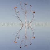 Just Because You Paint a Picture, Doesn't Mean it Fits the Frame