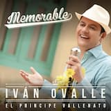 El remedio a mis heridas