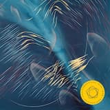 Violin Concerto "To the Memory of an Angel": I. Andante – Allegretto