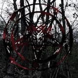 Dismemberment in a Dark Forest